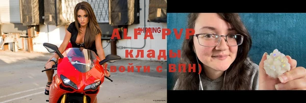 амф Богородицк