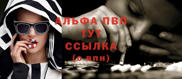амф Богородицк